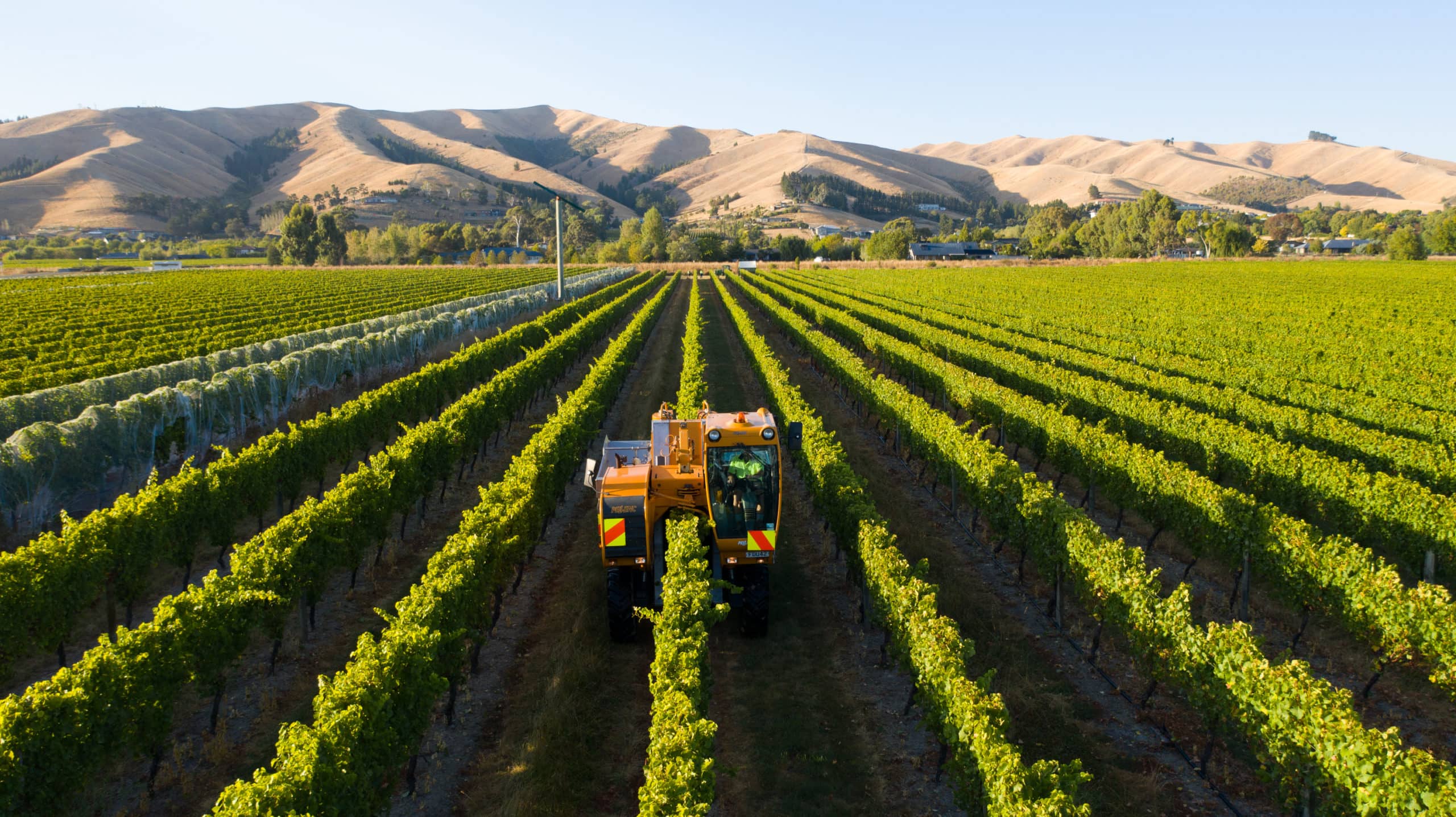 Next Generation Viticulture – developing the next generation of New Zealand wine production systems