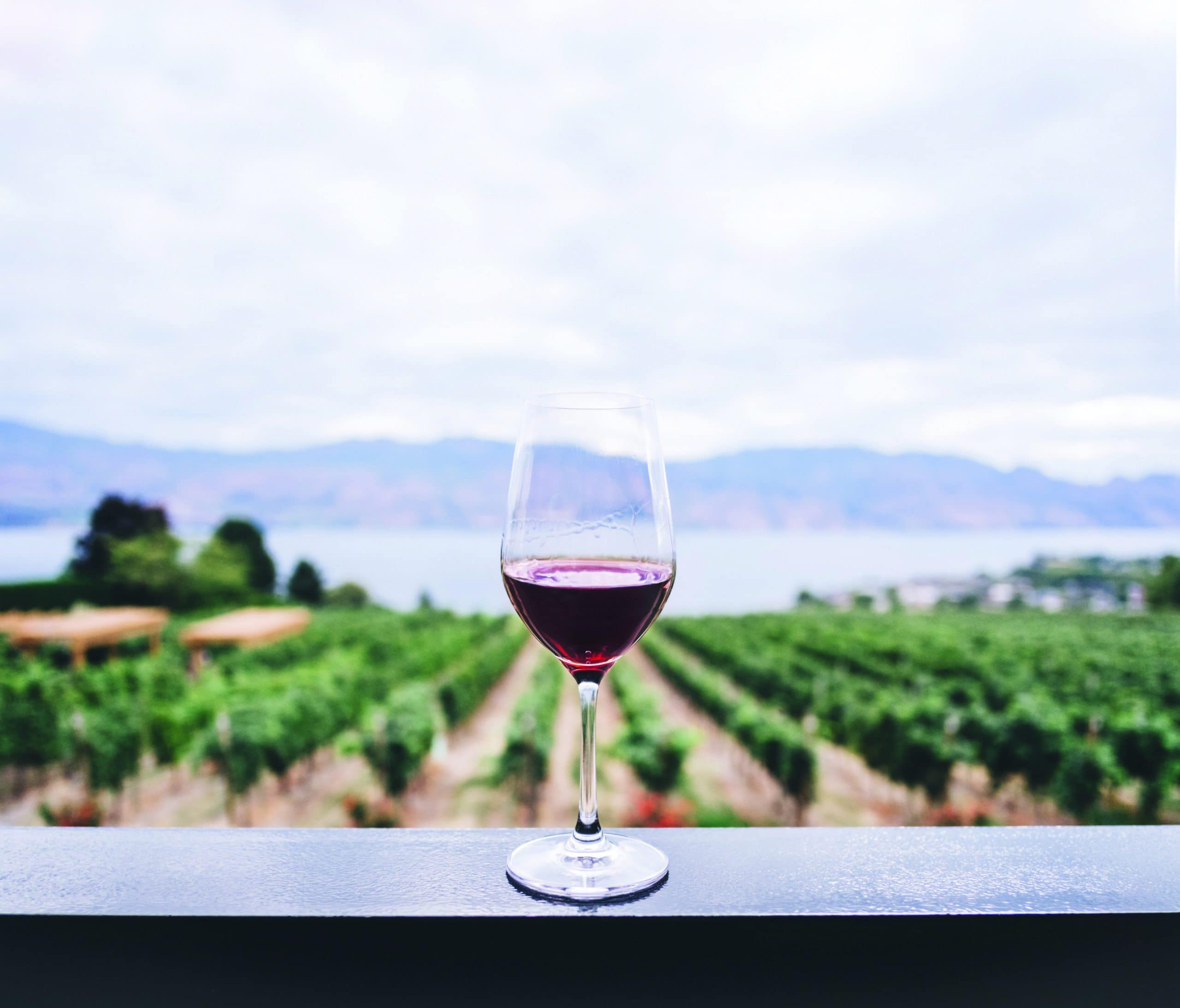 Factors that affect colour in Pinot Noir wines