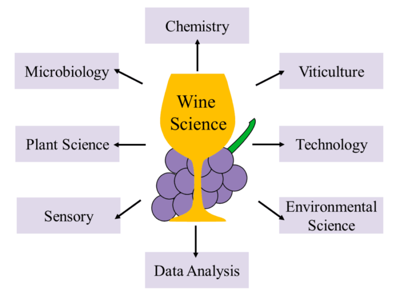 phd in wine science