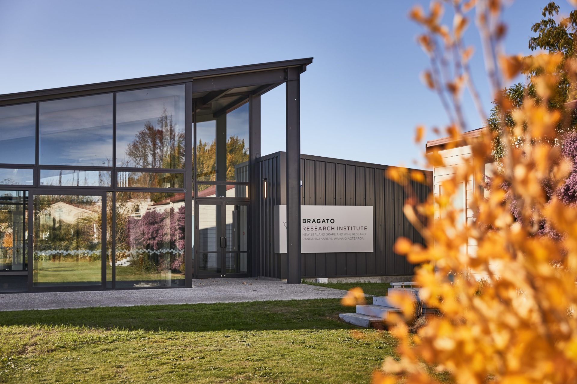 BRI welcomes Sachi Rana