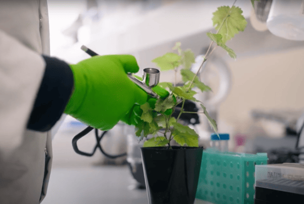 A person in a lab coat and green gloves uses a stethoscope to examine a plant with green leaves in a black pot. The setting appears to be a laboratory with test tubes in the background.