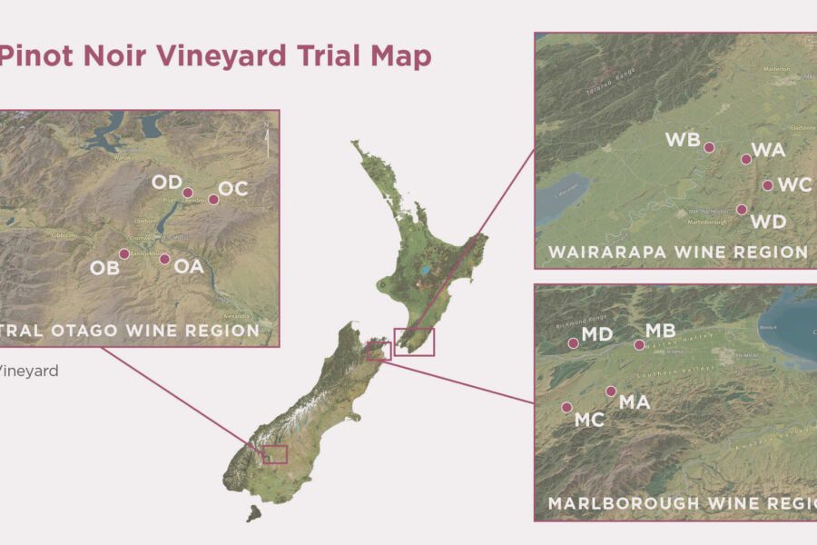Map showing trial vineyards for Pinot Noir in New Zealand. It highlights three regions: Central Otago (with vineyards OA, OB, OC, OD), Wairarapa (WA, WB, WC), and Marlborough (MA, MB, MC), marked with magenta dots on detailed insets.
