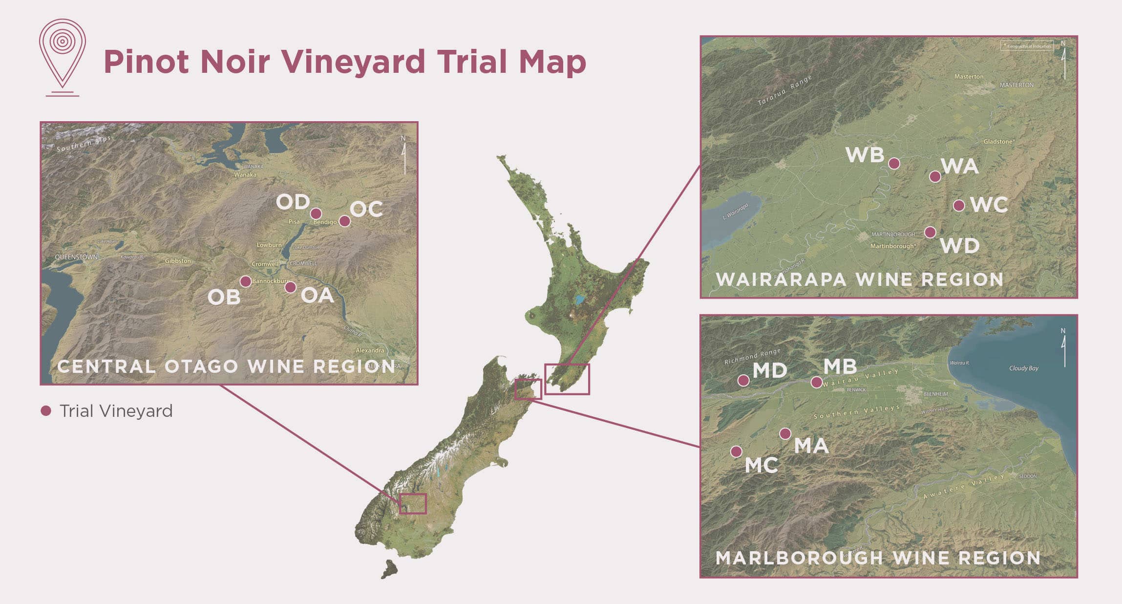 Pinot Noir Programme: The quest to find ideal vines…