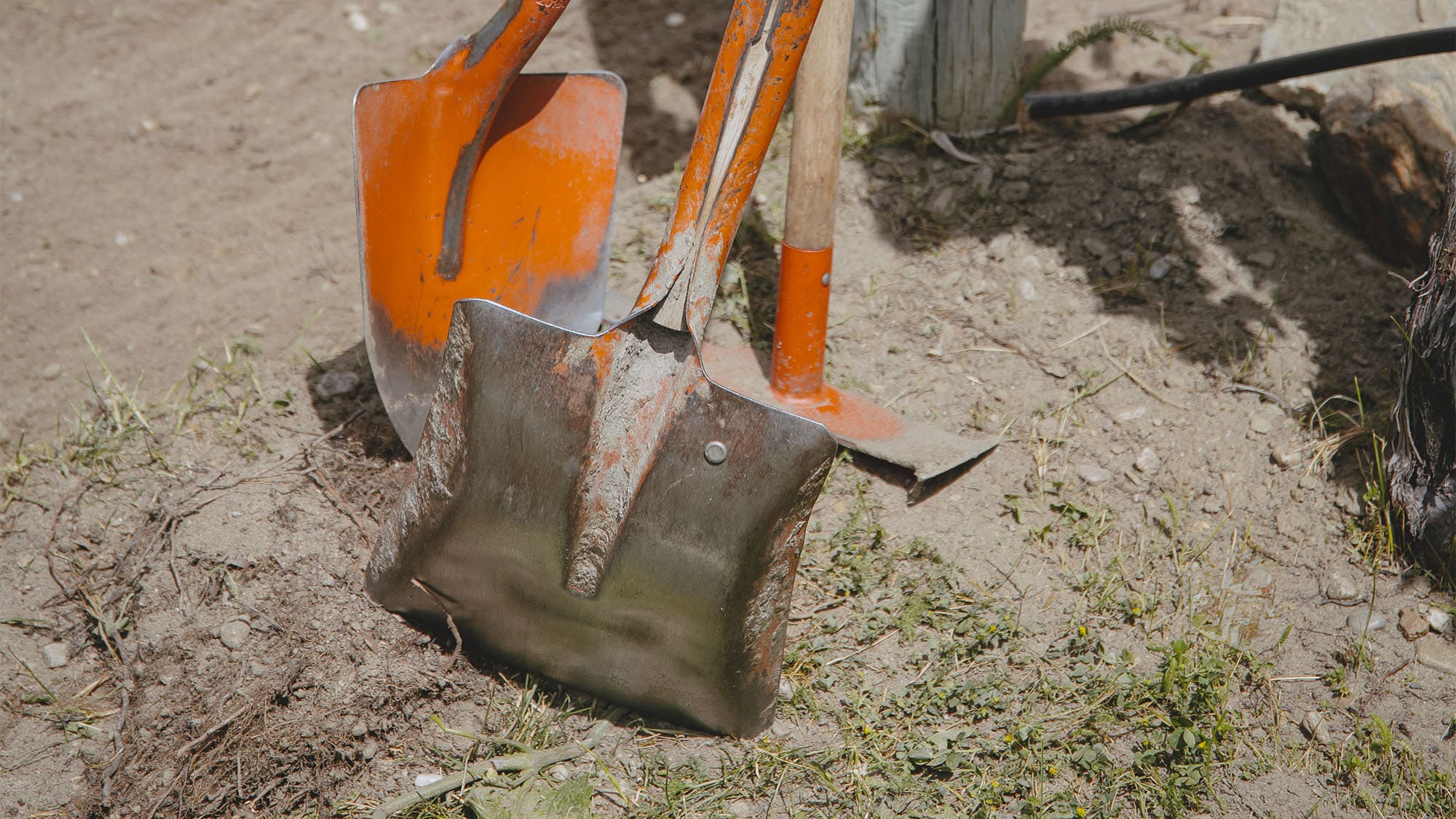 Building vineyard soil health