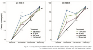 Line graphs showing canopy coverage (%) development from October to February for different pruning treatments (6BudSpur, 12VCane, 3Cane, Horizontal, Unpruned). Graph (A) displays 2022-23 data; Graph (B), 2022-23 with Tukey test results.