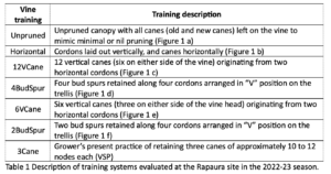 A table titled "Description of training systems evaluated at the Rapaura site in the 2022-23 season" lists different vine training methods with their descriptions, such as Unpruned, Horizontal, 12VCane, 4BudSpur, and others, explaining cane and spur arrangements.