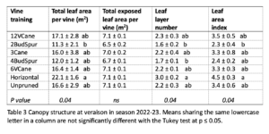 A table showing canopy structure at veraison in the 2022-23 season. It lists different vine training methods with data on leaf area, exposed leaf area, leaf layer number, and leaf area index, including statistical analysis with p-values.