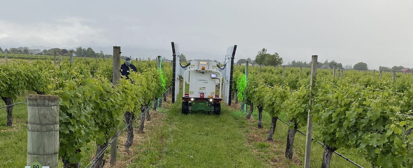 UV light in vineyards to reduce fungicide dependence