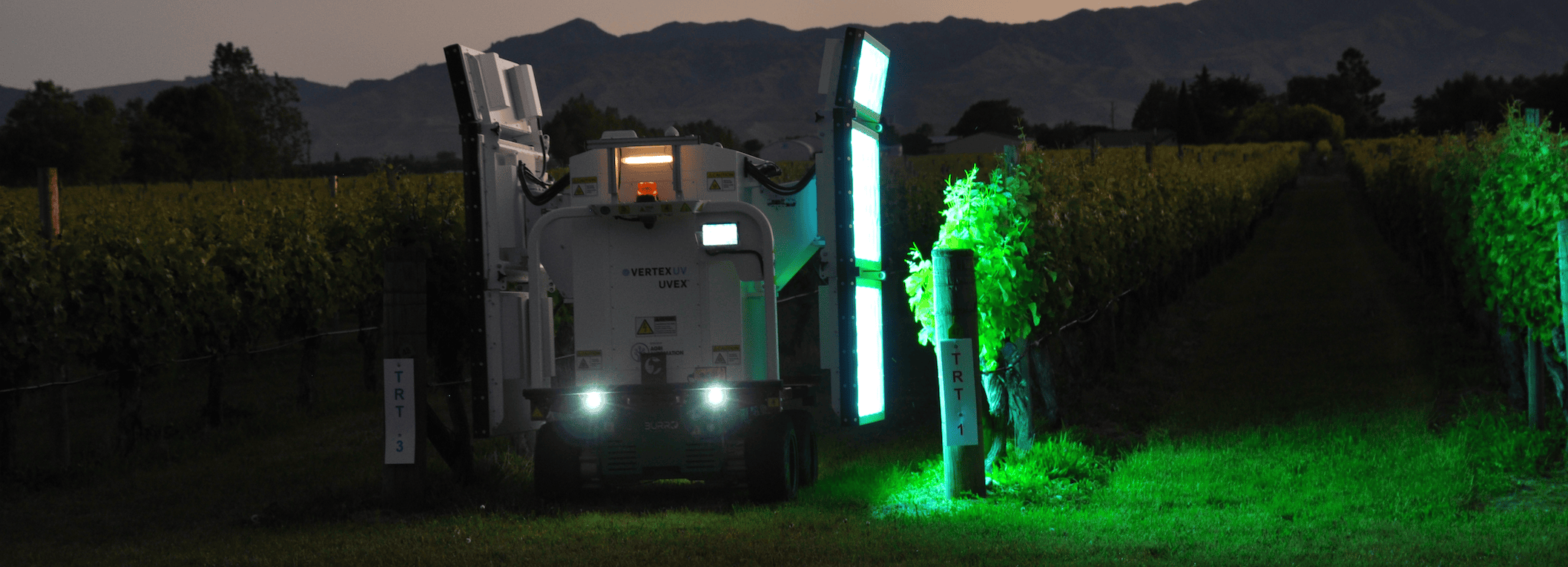 UV light in vineyards to reduce fungicide dependence