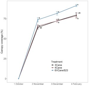 Line graph showing canopy coverage (%) over time for three treatments: 3Cane, 4Cane, and 6VCaneS23, from 1 October to 4 February. Coverage increases for each treatment, with 6VCaneS23 reaching the highest percentage. Error bars and letter markers are present.