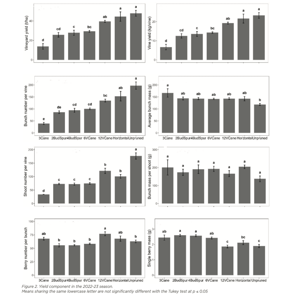 A series of eight bar graphs displaying different agricultural yield components for various treatments in 2022-23. Each graph has labeled bars with lowercase letters indicating statistical differences. The Tukey test determines significance at p ≤ 0.05.