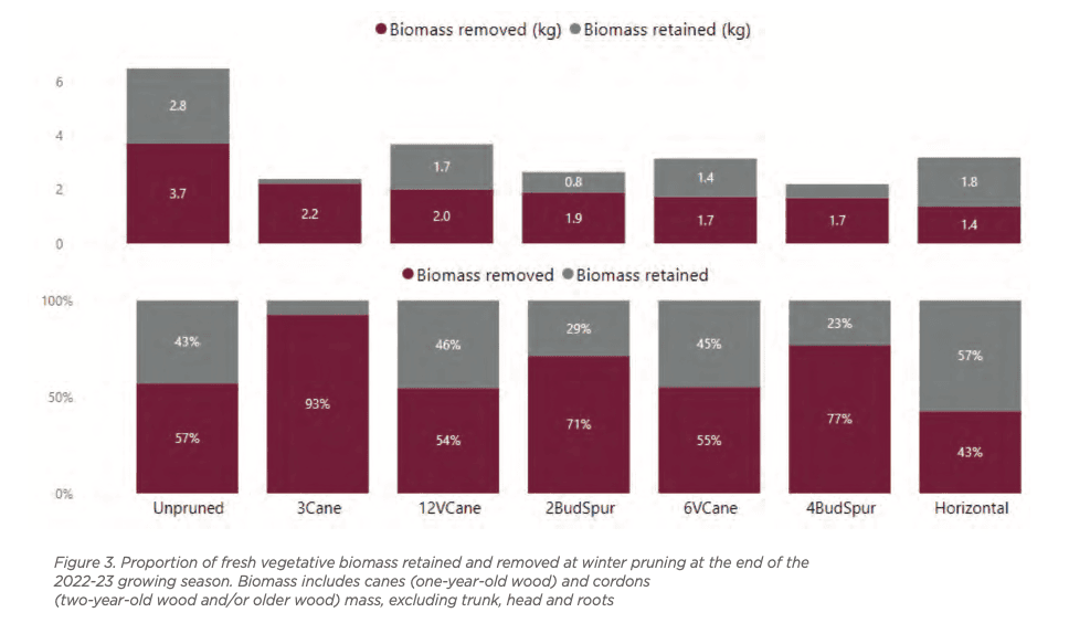 Bar graph displaying the proportion of fresh vegetative biomass removed and retained during pruning across different vine pruning techniques. Data is shown for Unpruned, 3Cane, 12VCane, 2BudSpur, 6VCane, 4BudSpur, and Horizontal methods.