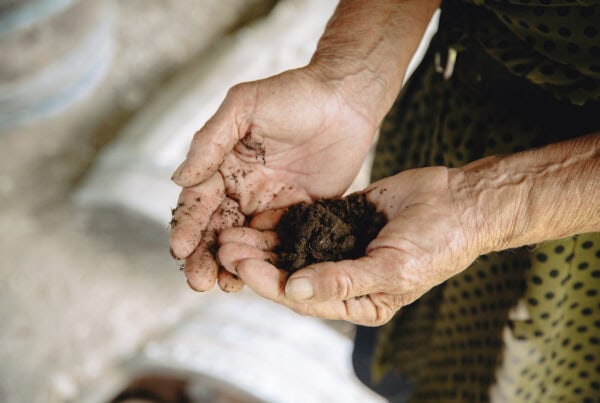 Close-up of elderly hands holding a small pile of rich, dark soil, with a blurred background and a green polka dot garment partly visible.