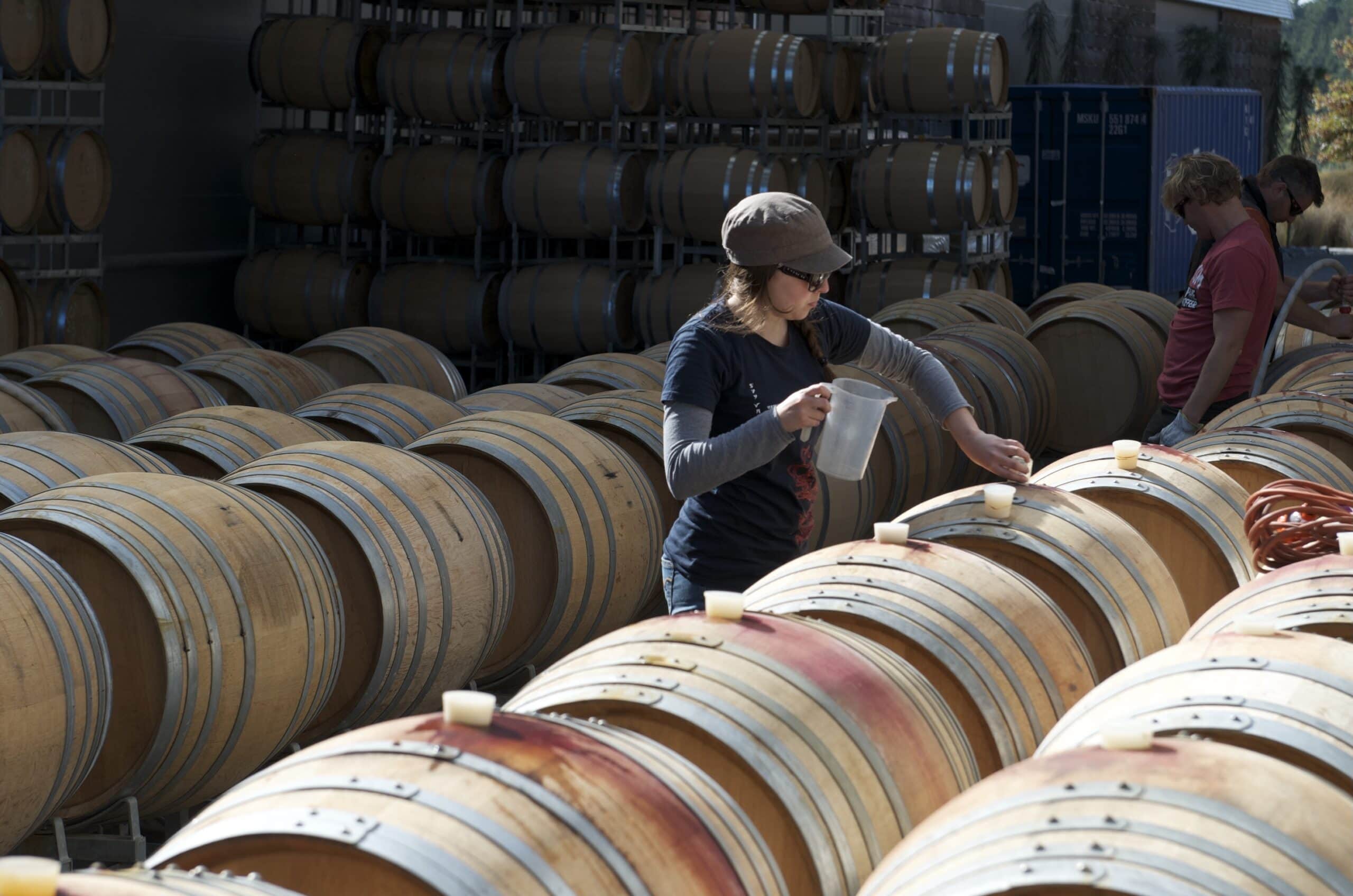 New projects to help drive wine innovation