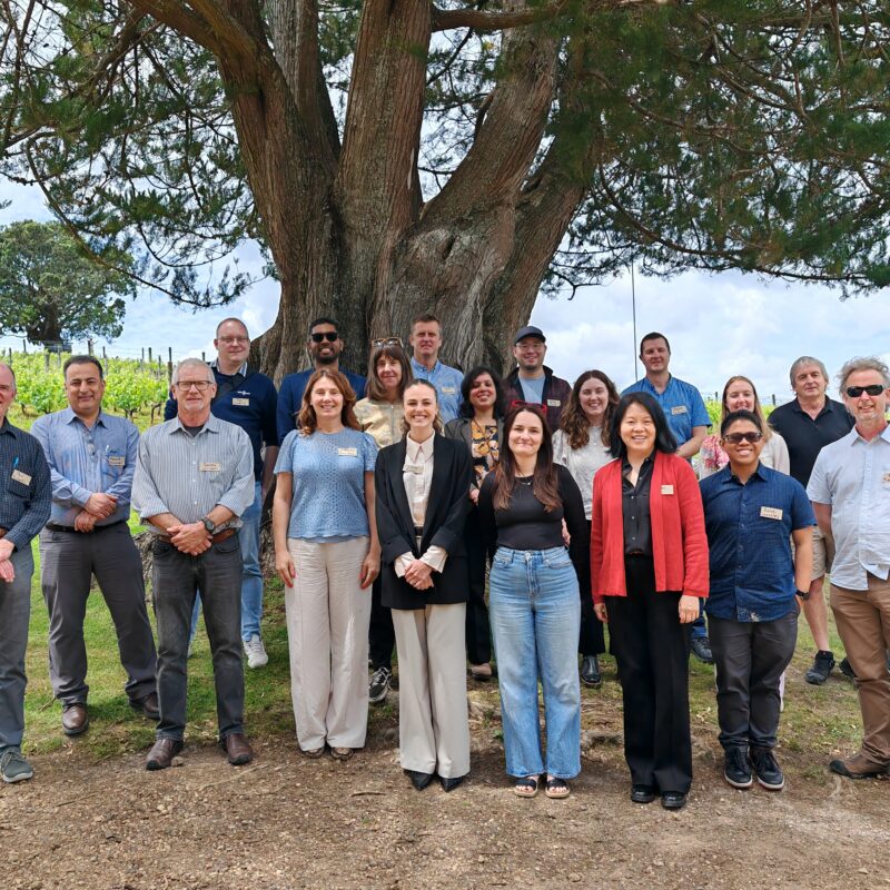 A group of 17 people pose for a photo outdoors in front of a large tree, with green grass and vineyard rows in the background. Most are smiling and wearing name badges.