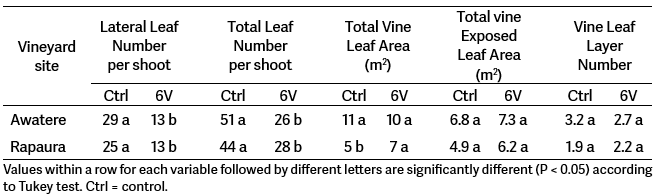 A table compares leaf and vine measurements (number, area, and layers) between control and 6V treatments at two vineyard sites, Awatere and Rapaura, with statistical significance indicated by different letters.