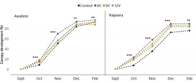 Line graphs compare canopy development (%) from September to February for four treatments (Control, 6V, 9V, 12V) in Awatere and Rapaura. All treatments increase over time; non-control lines show higher values. Asterisks indicate significance.