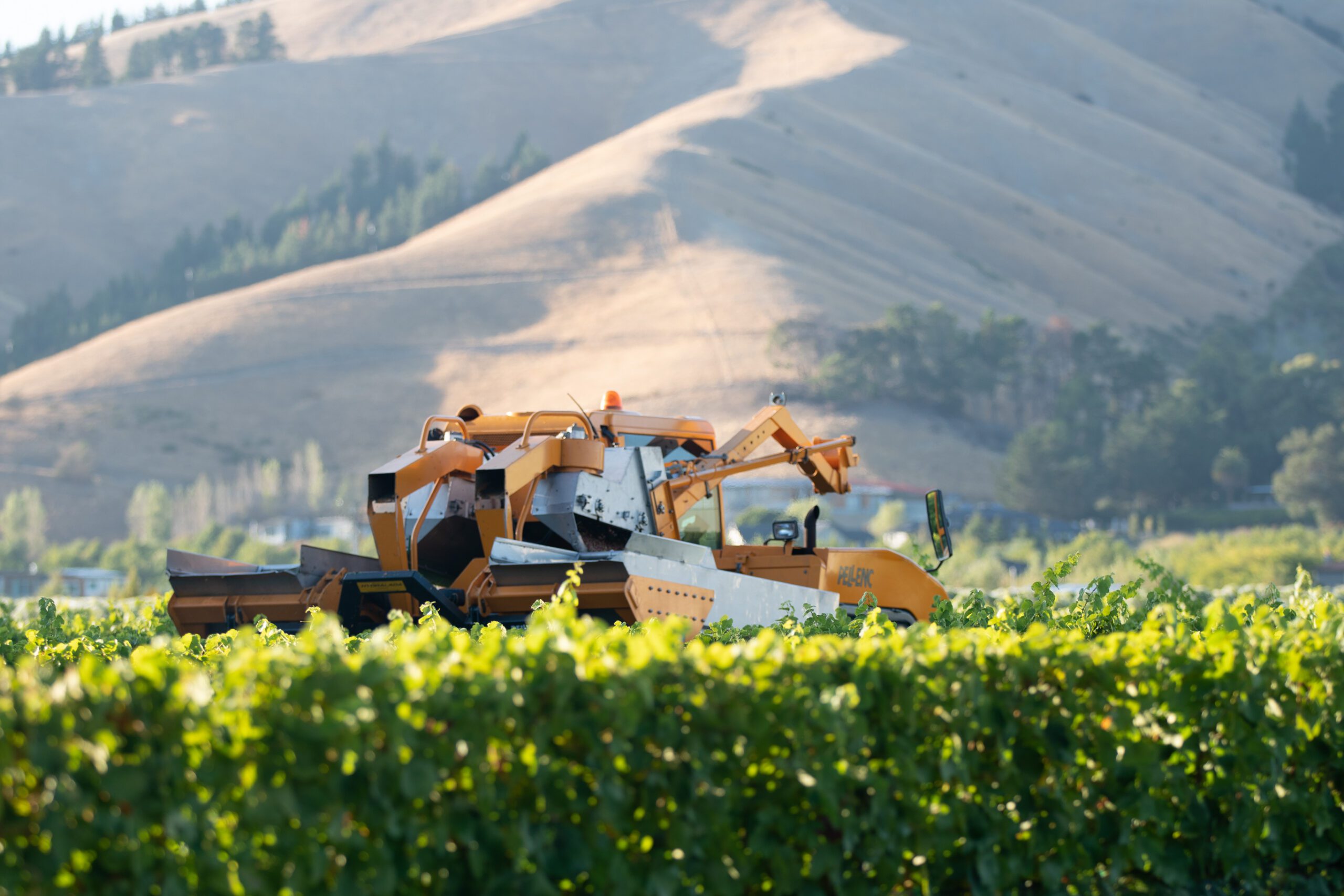 Helping vineyards manage rising fuel costs