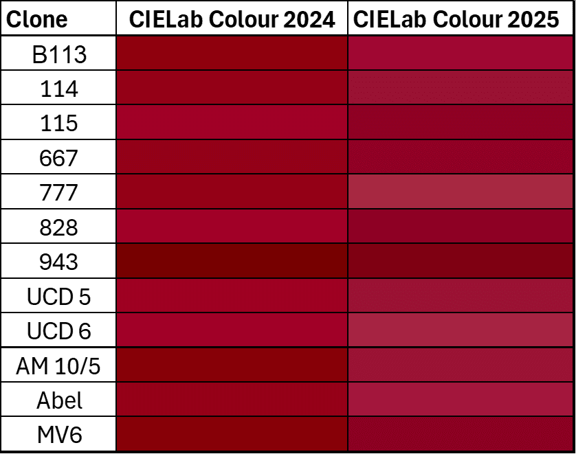 A table of CIELab Colour values for grape clones in 2024 and 2025, each cell shaded deep red by clone and year.