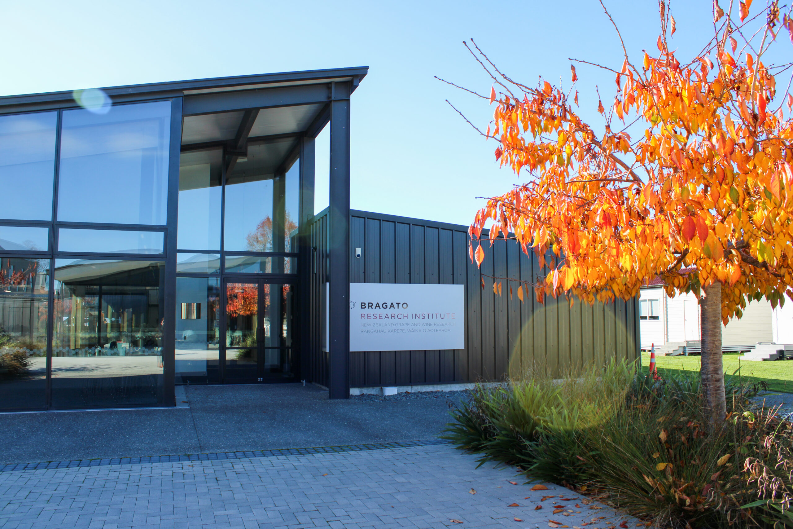 New research projects to enable the wine industry to thrive