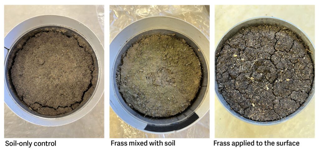 Three round pots arranged in a row, with labels underneath each: the left pot holds plain soil as the control, the center pot contains soil mixed with frass, and the right pot displays soil with frass sprinkled on top. The soils treated with frass look noticeably greener and have a richer texture compared to the plainer control soil.