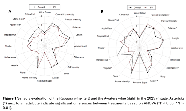 Two radar charts display sensory attributes of Rapaura (left) and Awatere (right) wines, illustrating contrasts in wine color, fruit intensity, and other qualities between control groups and those treated with 6V.